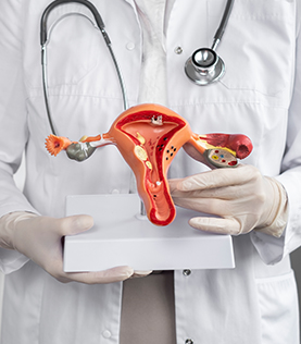 Obstetrics-gynaecology.jpg