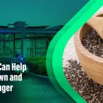 Top Benefits of Chia Seeds for Weight Loss