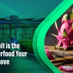 Dragon Fruit Benefits