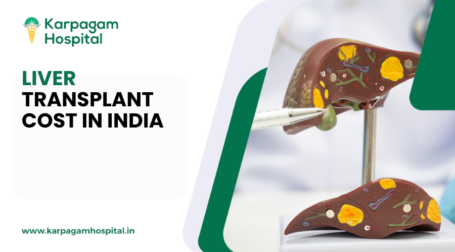 Liver transplant cost